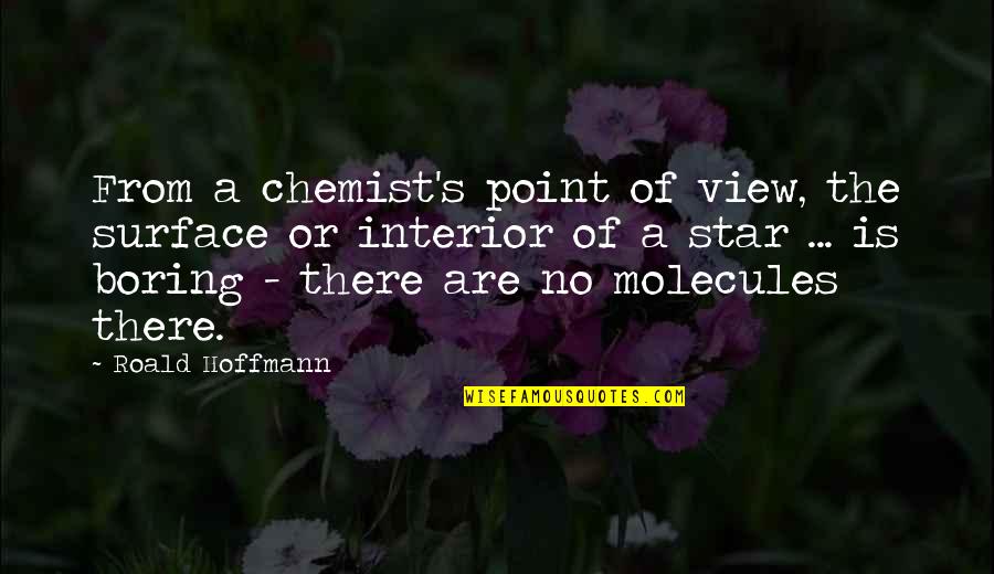 Chemist Quotes By Roald Hoffmann: From a chemist's point of view, the surface Chemist Quotes By Roald Hoffmann: From a chemist's point of view, the surface