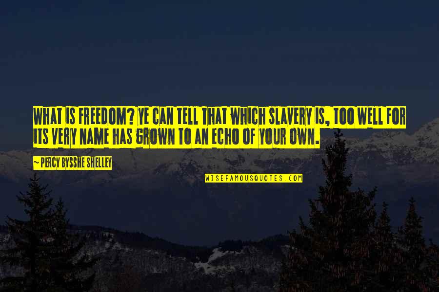 Chengamanad Phc Quotes By Percy Bysshe Shelley: What is Freedom? ye can tell That which