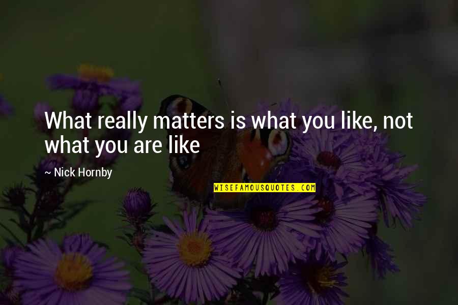 Chennouf Abdelkader Quotes By Nick Hornby: What really matters is what you like, not
