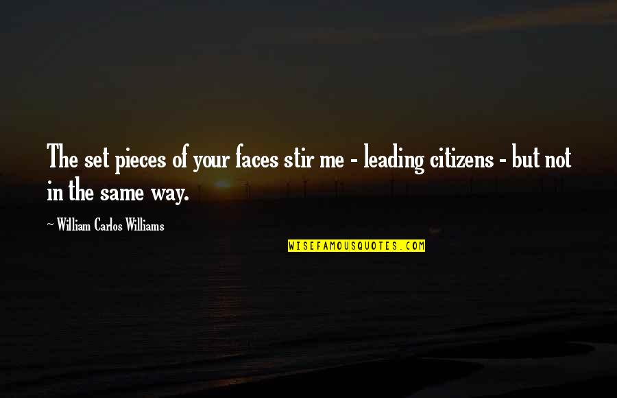 Chepstow Quotes By William Carlos Williams: The set pieces of your faces stir me