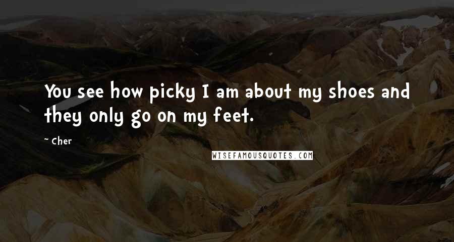 Cher quotes: You see how picky I am about my shoes and they only go on my feet.
