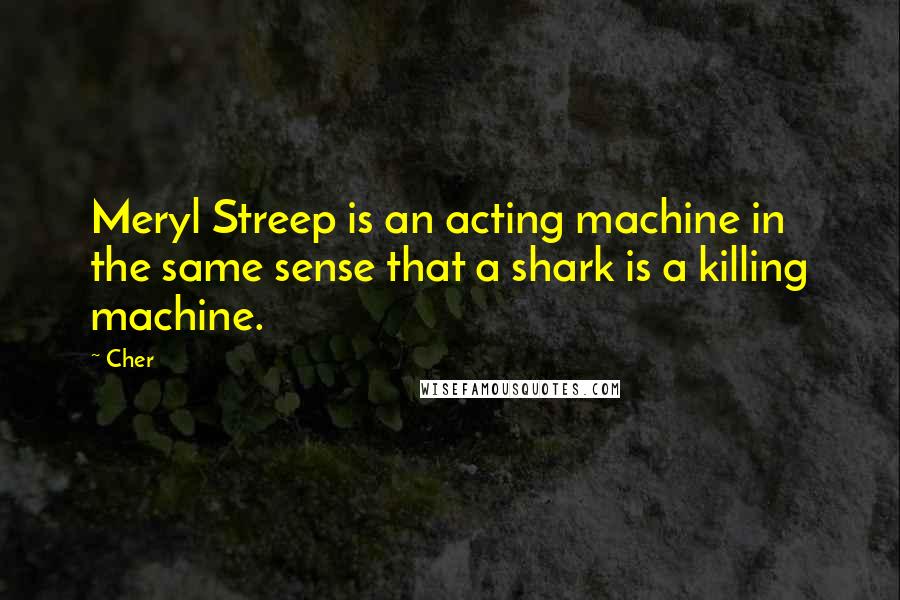 Cher quotes: Meryl Streep is an acting machine in the same sense that a shark is a killing machine.