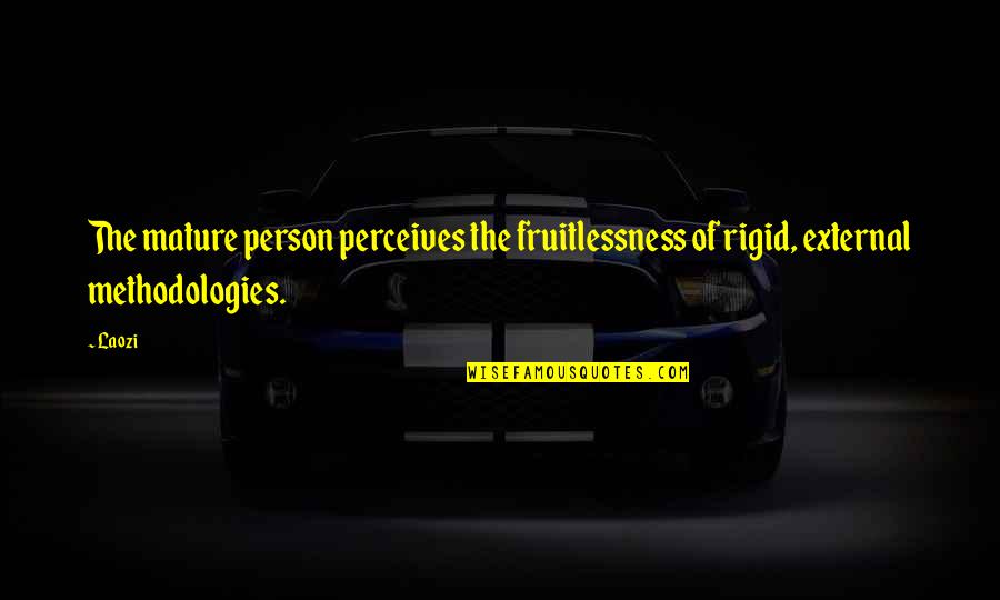 Cherese Collins Quotes By Laozi: The mature person perceives the fruitlessness of rigid,