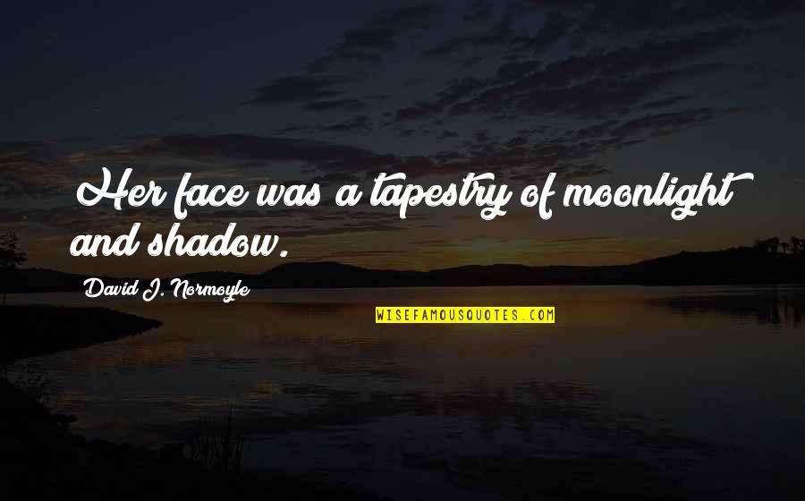 Cherington Chevron Quotes By David J. Normoyle: Her face was a tapestry of moonlight and Cherington Chevron Quotes By David J. Normoyle: Her face was a tapestry of moonlight and