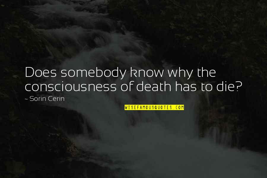 Cherington Chevron Quotes By Sorin Cerin: Does somebody know why the consciousness of death