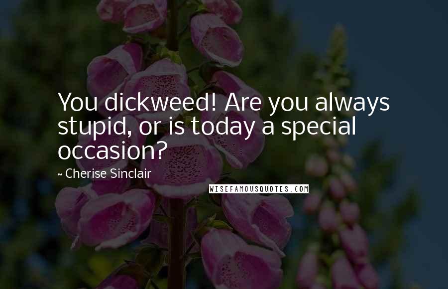 Cherise Sinclair quotes: You dickweed! Are you always stupid, or is today a special occasion?