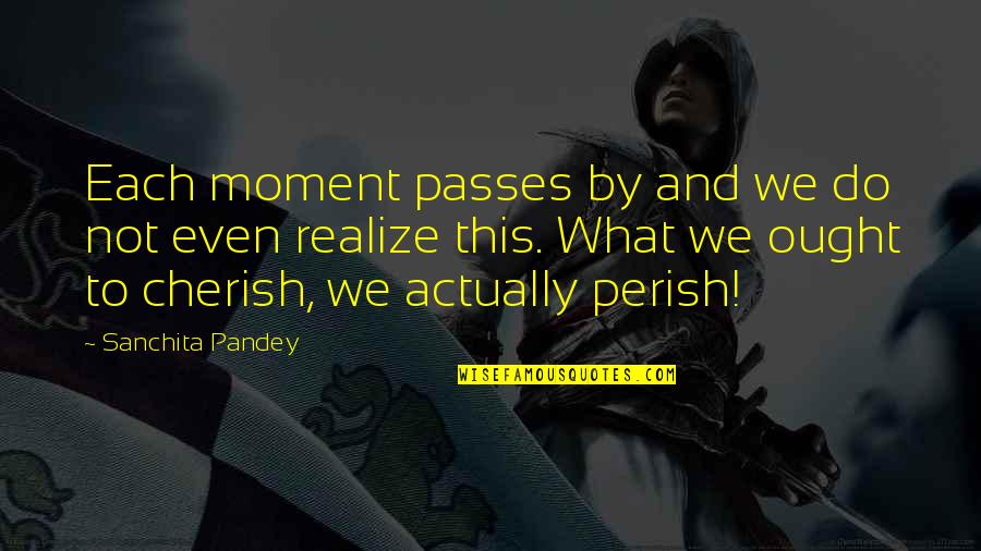 Cherish The Moment Quotes By Sanchita Pandey: Each moment passes by and we do not