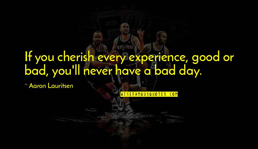 Cherish Those In Your Life Quotes By Aaron Lauritsen: If you cherish every experience, good or bad,