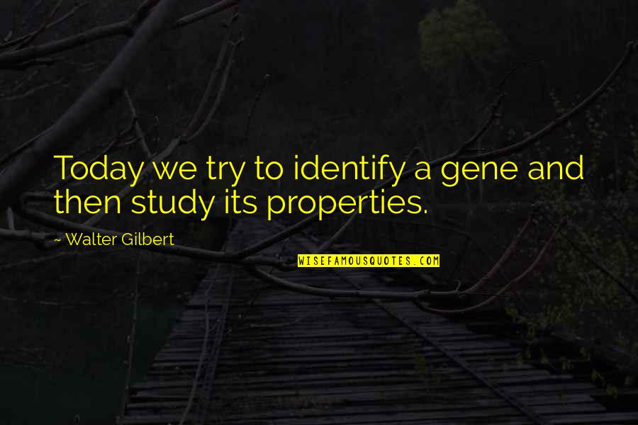 Cherish Time Quotes By Walter Gilbert: Today we try to identify a gene and