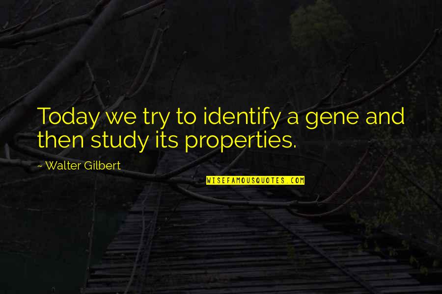 Cherish Time Quotes By Walter Gilbert: Today we try to identify a gene and Cherish Time Quotes By Walter Gilbert: Today we try to identify a gene and