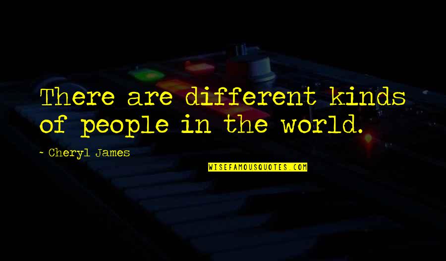 Cherish What You Have Now Quotes By Cheryl James: There are different kinds of people in the