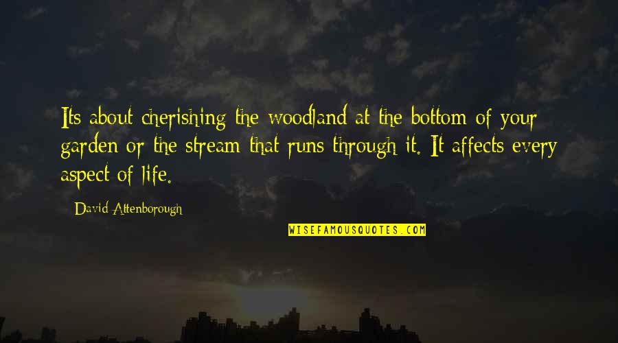 Cherishing Life Quotes By David Attenborough: Its about cherishing the woodland at the bottom