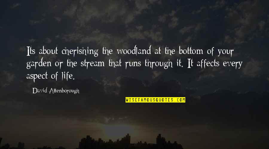 Cherishing Your Life Quotes By David Attenborough: Its about cherishing the woodland at the bottom