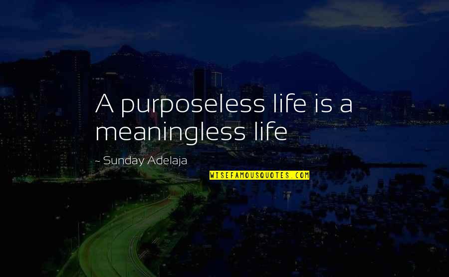 Cherisse Jordan Quotes By Sunday Adelaja: A purposeless life is a meaningless life