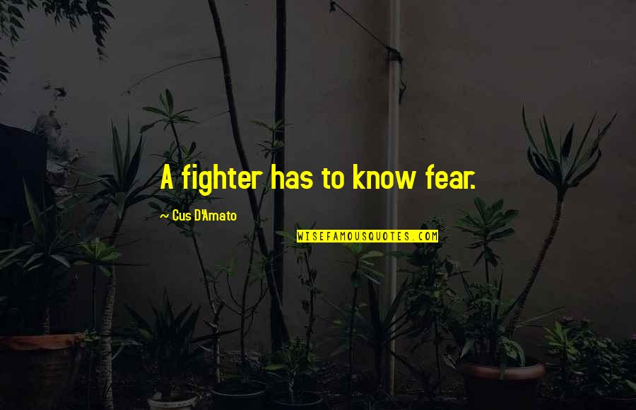 Cherith Quotes By Cus D'Amato: A fighter has to know fear. Cherith Quotes By Cus D'Amato: A fighter has to know fear.
