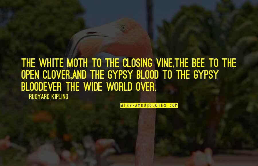 Cherkala Abdulla Quotes By Rudyard Kipling: The white moth to the closing vine,The bee Cherkala Abdulla Quotes By Rudyard Kipling: The white moth to the closing vine,The bee