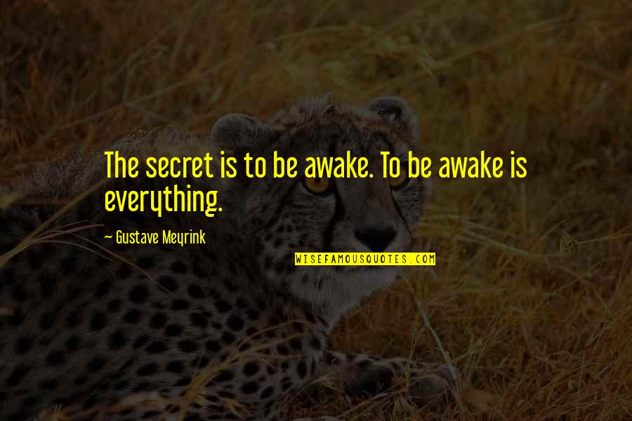 Cherokee's Quotes By Gustave Meyrink: The secret is to be awake. To be