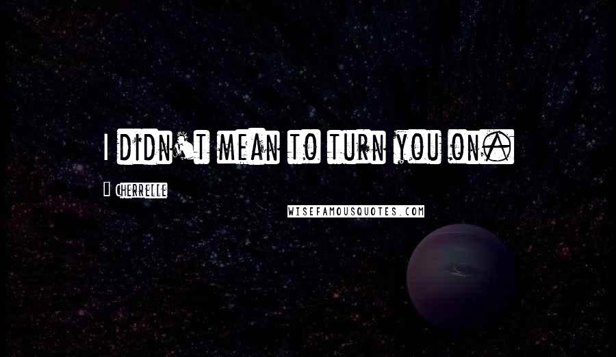 Cherrelle quotes: I didn't mean to turn you on.
