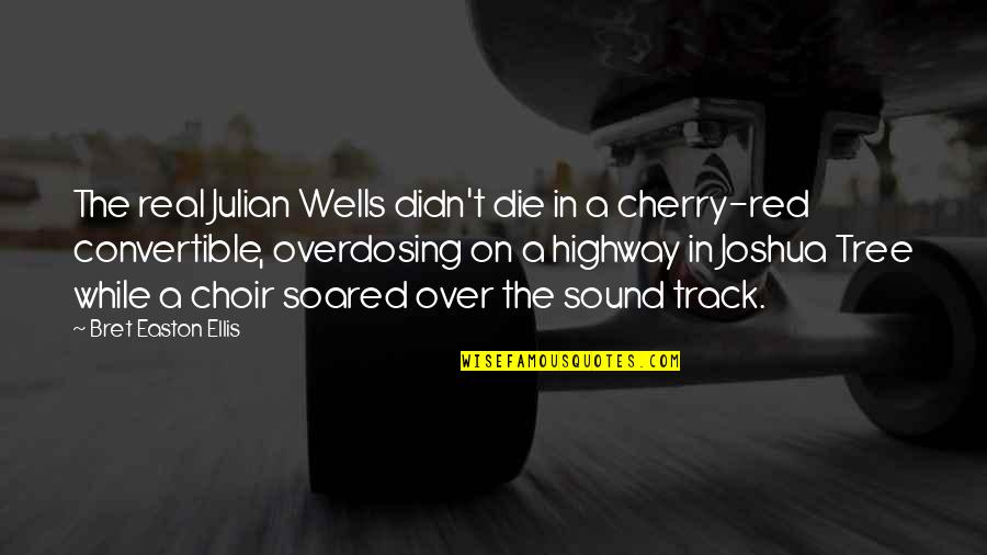 Cherry Tree And Quotes By Bret Easton Ellis: The real Julian Wells didn't die in a