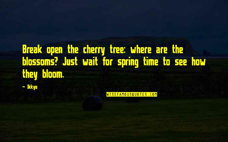 Cherry Tree And Quotes By Ikkyu: Break open the cherry tree: where are the