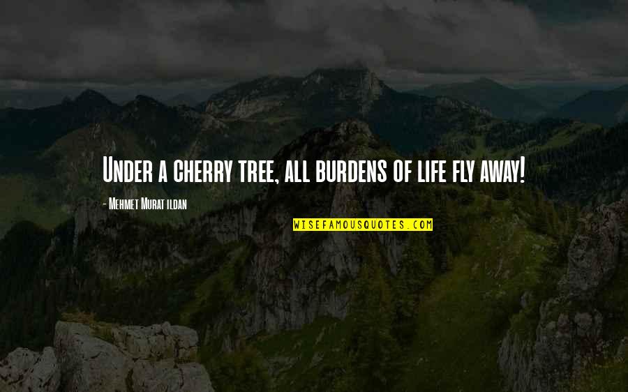Cherry Tree And Quotes By Mehmet Murat Ildan: Under a cherry tree, all burdens of life