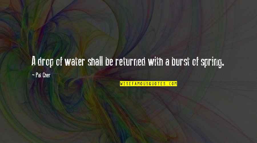 Cher's Quotes By Pat Cher: A drop of water shall be returned with