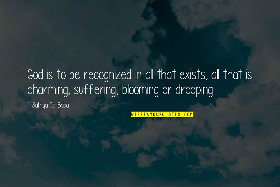 Chersti Berdahl Quotes By Sathya Sai Baba: God is to be recognized in all that