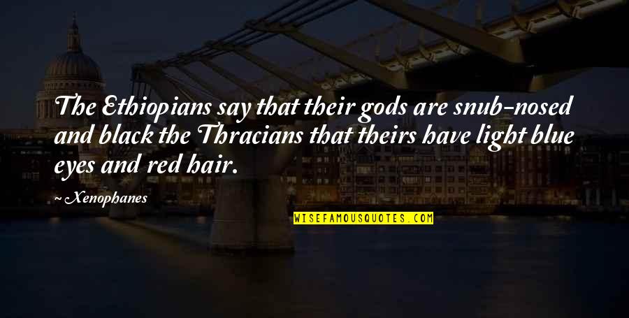 Chersti Berdahl Quotes By Xenophanes: The Ethiopians say that their gods are snub-nosed
