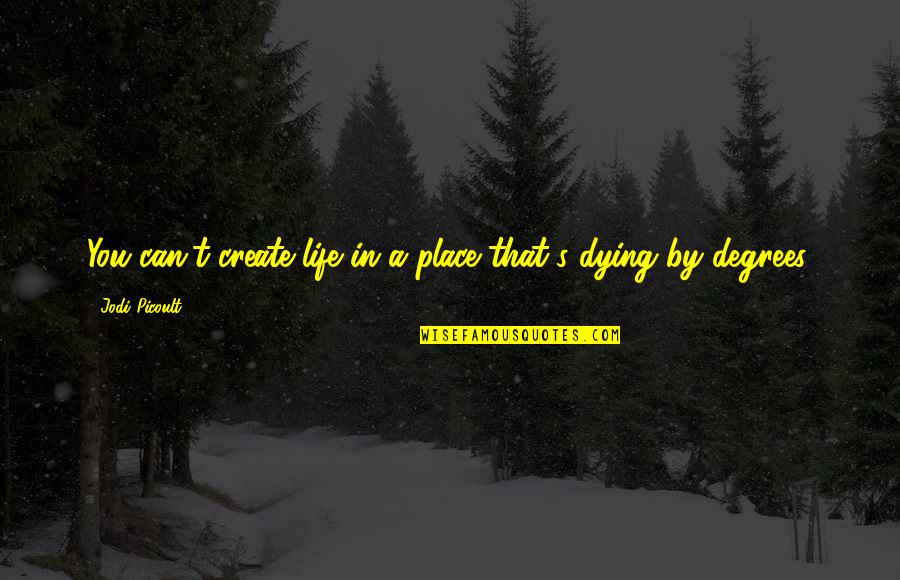 Chertoff Mossad Quotes By Jodi Picoult: You can't create life in a place that's