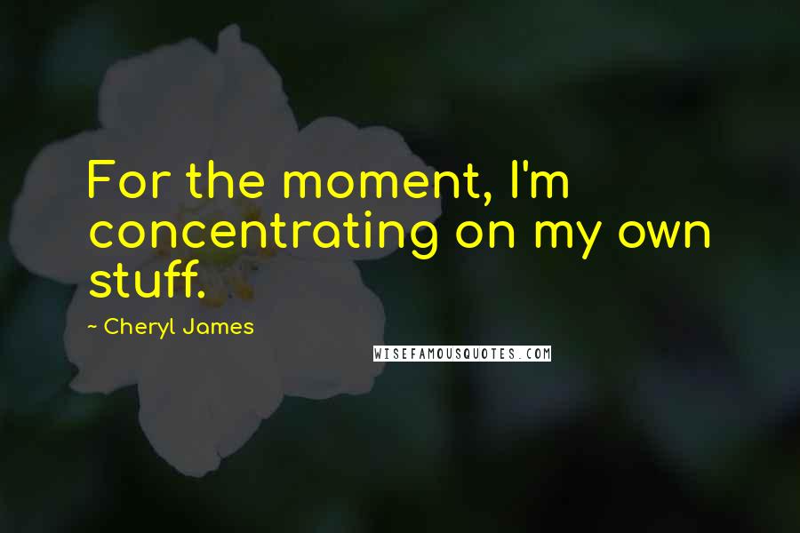 Cheryl James quotes: For the moment, I'm concentrating on my own stuff.