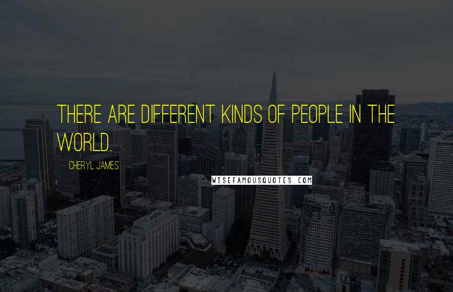 Cheryl James quotes: There are different kinds of people in the world.