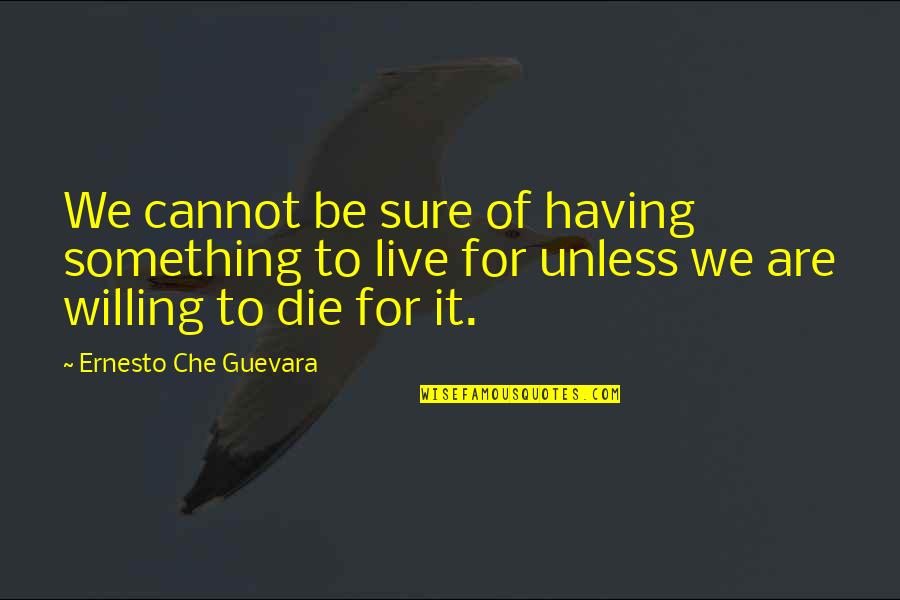 Che's Quotes By Ernesto Che Guevara: We cannot be sure of having something to
