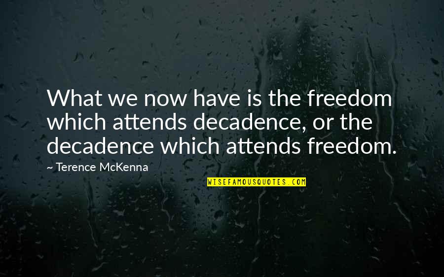 Chesdin Quotes By Terence McKenna: What we now have is the freedom which