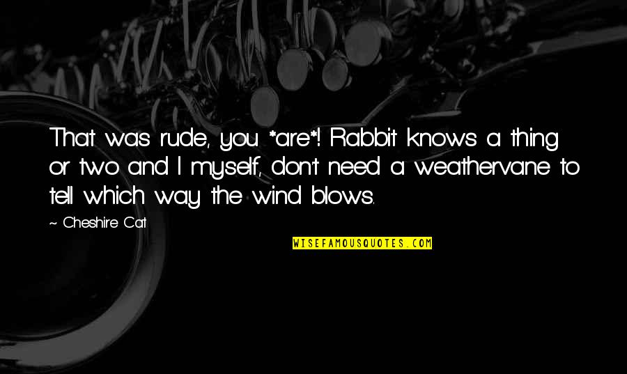 Cheshire The Cat Quotes By Cheshire Cat: That was rude, you *are*! Rabbit knows a