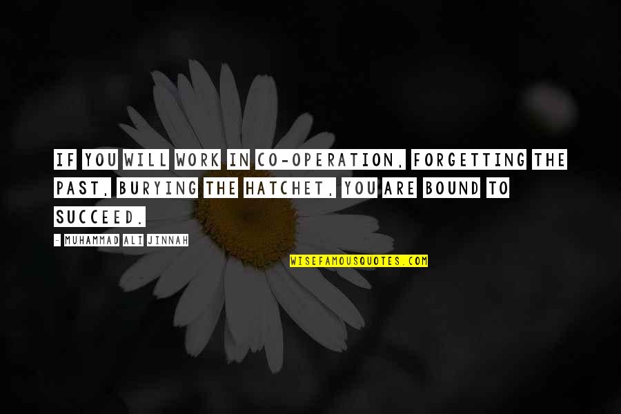 Cheshires Heating Quotes By Muhammad Ali Jinnah: If you will work in co-operation, forgetting the Cheshires Heating Quotes By Muhammad Ali Jinnah: If you will work in co-operation, forgetting the