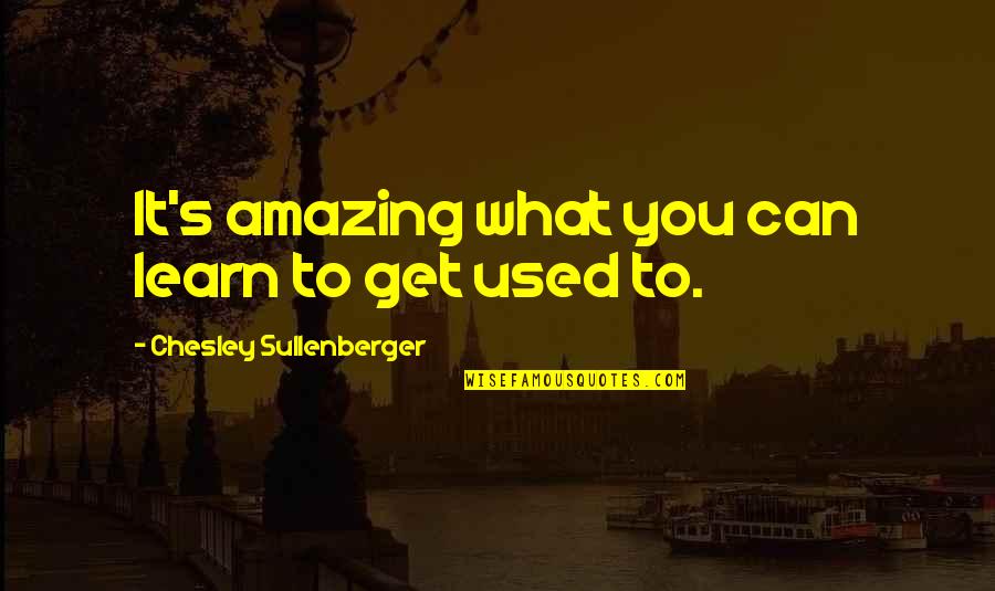 Chesley Quotes By Chesley Sullenberger: It's amazing what you can learn to get