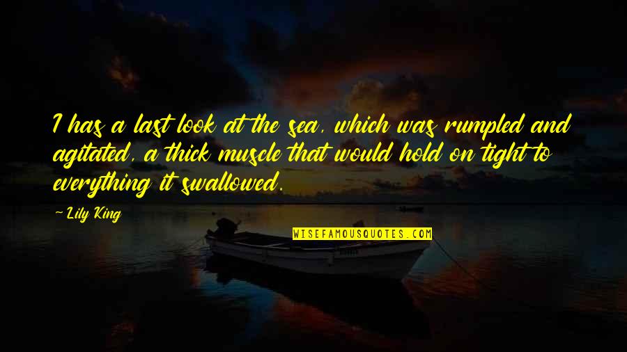 Chess Related To Love Quotes By Lily King: I has a last look at the sea,