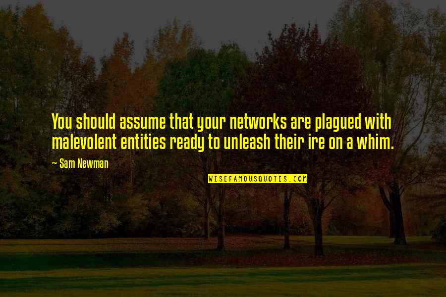 Chesser Financial Champaign Quotes By Sam Newman: You should assume that your networks are plagued