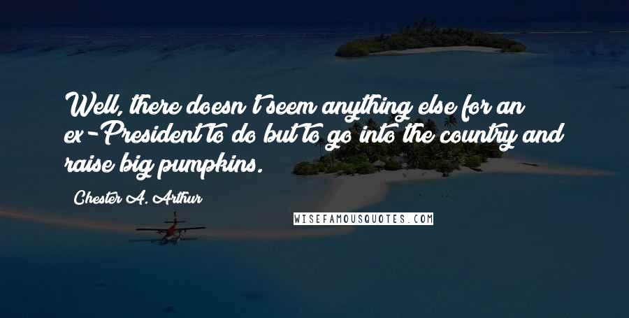 Chester A. Arthur quotes: Well, there doesn't seem anything else for an ex-President to do but to go into the country and raise big pumpkins. Chester A. Arthur quotes: Well, there doesn't seem anything else for an ex-President to do but to go into the country and raise big pumpkins.