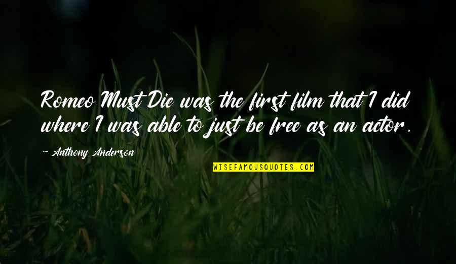Chestertons Notting Quotes By Anthony Anderson: Romeo Must Die was the first film that