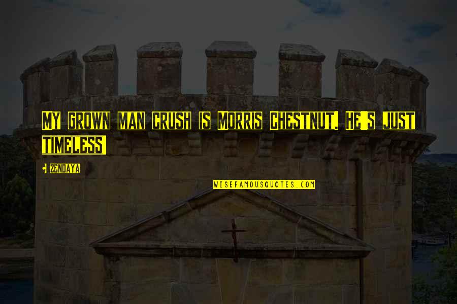 Chestnut Quotes By Zendaya: My grown man crush is Morris Chestnut. He's