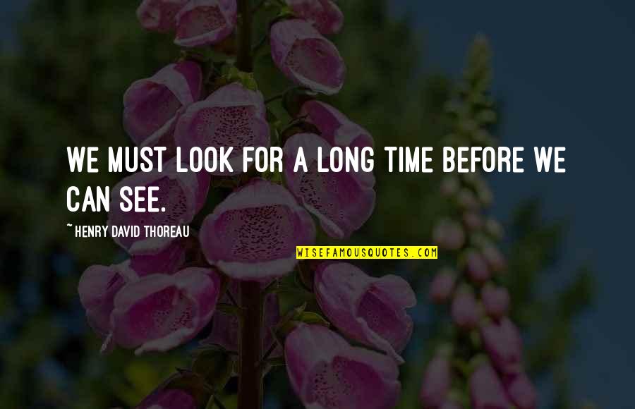 Chesty Leroux Quotes By Henry David Thoreau: We must look for a long time before