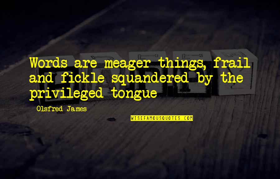 Cheswell Family Quotes By Olsfred James: Words are meager things, frail and fickle squandered