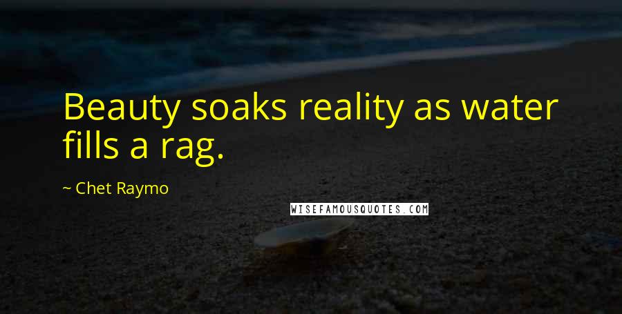 Chet Raymo quotes: Beauty soaks reality as water fills a rag.