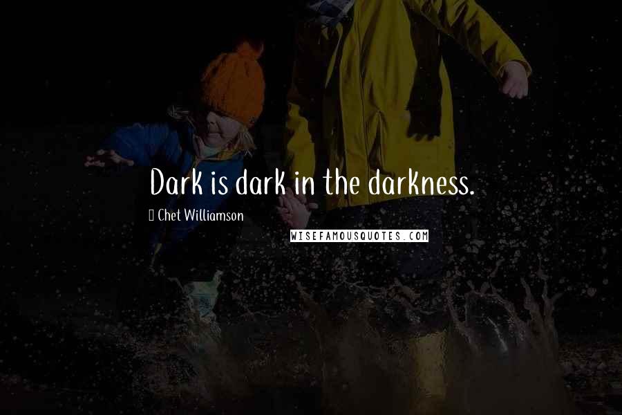 Chet Williamson quotes: Dark is dark in the darkness.