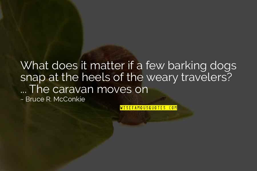 Chevannes Commission Quotes By Bruce R. McConkie: What does it matter if a few barking