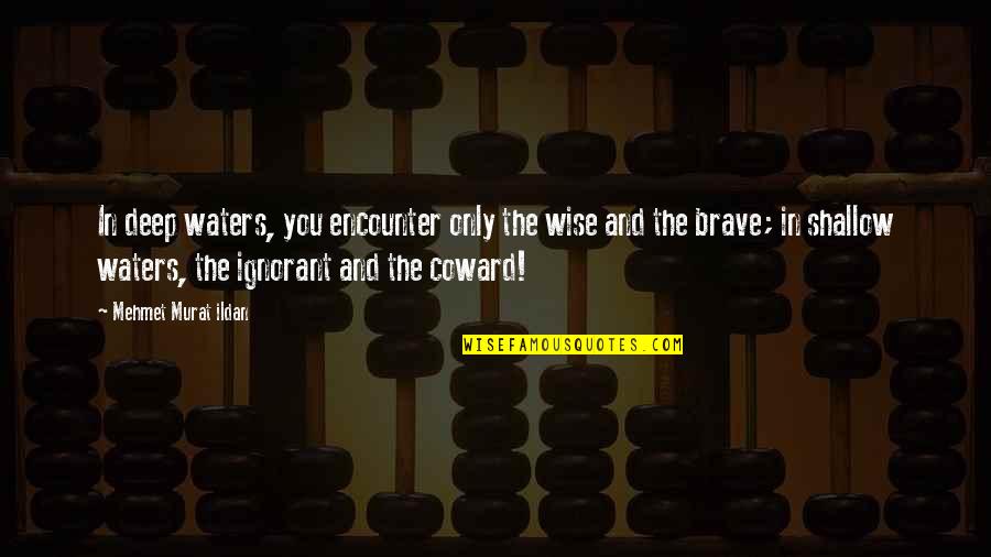 Chevere Quotes By Mehmet Murat Ildan: In deep waters, you encounter only the wise Chevere Quotes By Mehmet Murat Ildan: In deep waters, you encounter only the wise