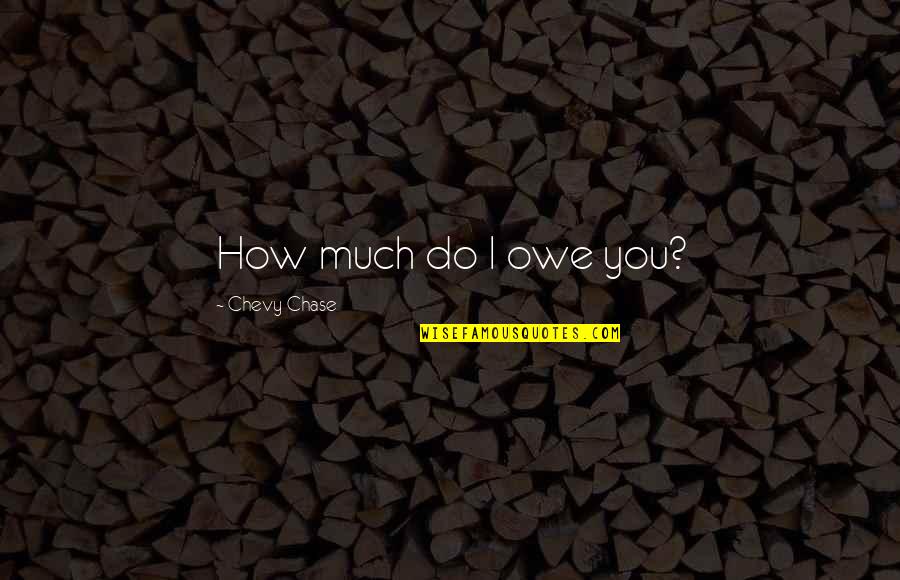 Chevy Chase Quotes By Chevy Chase: How much do I owe you? Chevy Chase Quotes By Chevy Chase: How much do I owe you?