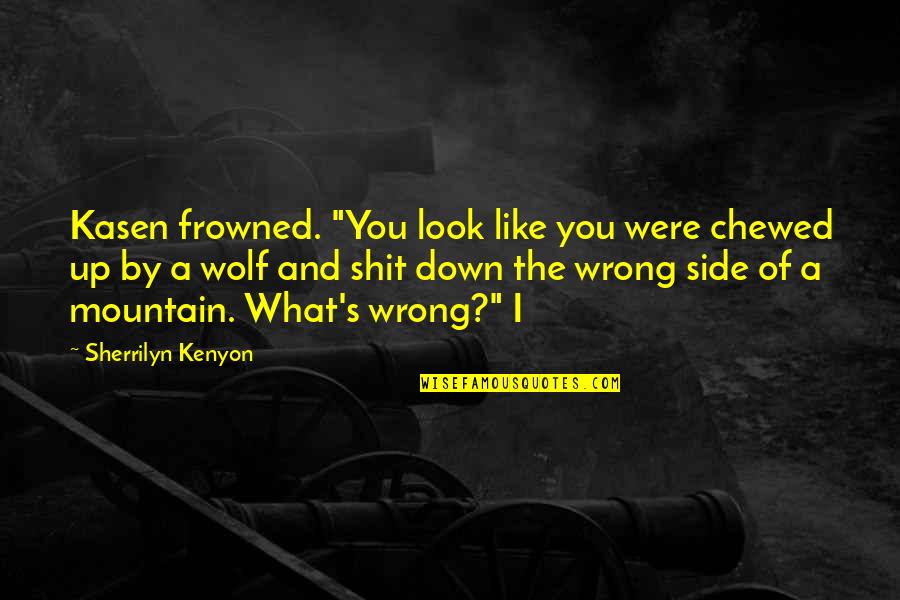 Chewed Up Quotes By Sherrilyn Kenyon: Kasen frowned. "You look like you were chewed