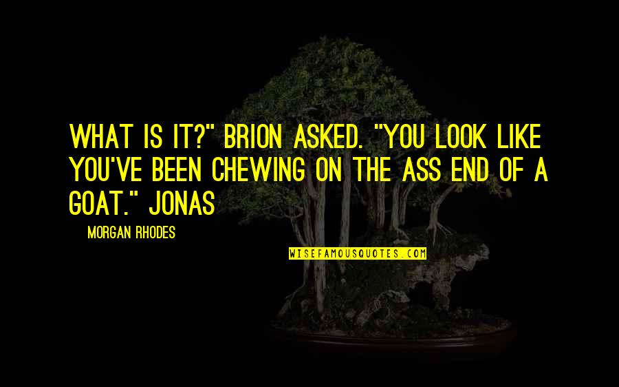 Chewing Quotes By Morgan Rhodes: What is it?" Brion asked. "You look like